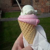 Vegan cone at Den Italienske Isbutik in Kerteminde
