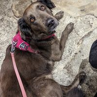  at Box & Barber Coffeehouse in Newquay