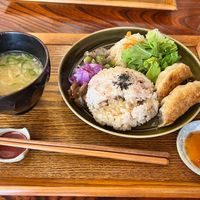 Daily special with gyoza  at Nishimaki Gohan in Tokyo