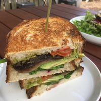 Vegan mushroom toasted  at Pasture & Co in Currumbin Valley