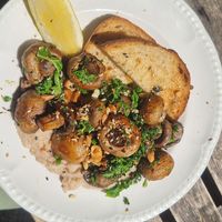  at Pasture & Co in Currumbin Valley