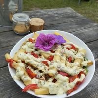 Salad at Theetuin Het Kaslokaal in Oostkapelle