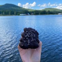 brownie  at Emy Delights & Bites - Pop Up in Hyde Park