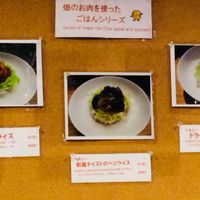 April 2018 Menu 2/2 Rice with toppings at Little Bear Cafe in Takayama