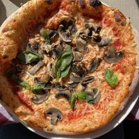 Vegan Funghi Pizza  at Tom 'n' Jerry in Berlin