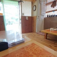 Interior at Sujata - 수자타 in Daegu