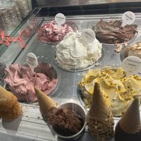 Front row vegan   at Burleigh Gelato Co in Burleigh Heads