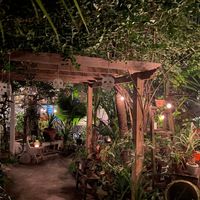  at Posada Margherita in Tulum