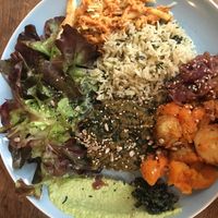 Dish of the day with parsley-coriander cream and spirulina at Sol Semilla in Paris