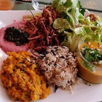 Plat du jour at Sol Semilla in Paris