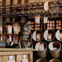 The owner. at Sol Semilla in Paris