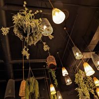 I got bored bc I was alone so these are the fixtures and plants inside at Do Chay - Yaletown in Vancouver