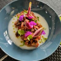 Figs Tartar at Plantae Gastrobar  in Tenerife