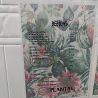 Bebidas at Plantae Gastrobar  in Tenerife