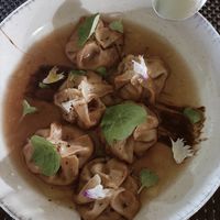 Gyozas at Plantae Gastrobar  in Tenerife