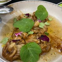 Dumplings rellenos de setas at Plantae Gastrobar  in Tenerife