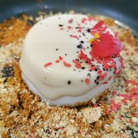 Pannacotta cheesecake at Plantae Gastrobar  in Tenerife