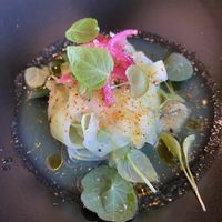 Chayota Chevice  at Plantae Gastrobar  in Tenerife