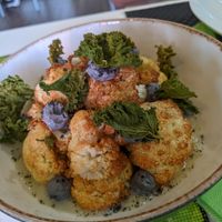 Coliflor frita at Plantae Gastrobar  in Tenerife