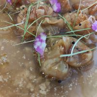  at Plantae Gastrobar  in Tenerife