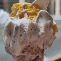 Mangue et vanille at Gelateria L'Orizzonte in Livorno