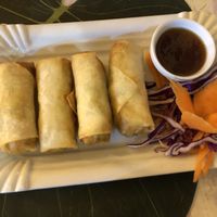 Vegetarian spring rolls  at Yoya's Thai Kitchen in Albufeira