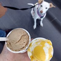 Izquierda (no vegano de avellana) derecha (vegano de tarta de queso y mango) at Turrones Helados Federico Verdú in Gijon