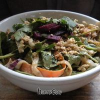 Shiva Salad at Prasad - Pearl District in Portland