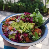  at Poppo's Taqueria in Bradenton