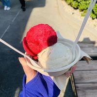 Beet strawberry rose sorbet and California cabin at Frankie & Jo's - University Village in Seattle