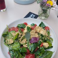  at Glückstein in Mannheim