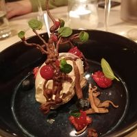  at Glückstein in Mannheim