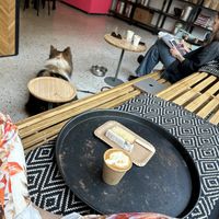 Lemon cake and flat white with soy milk  at Spontan Coffee in Berlin