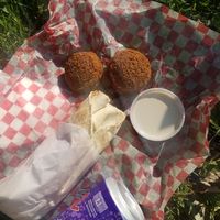 Falafel, and wrap. at Sham - Mont Royal in Montreal