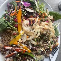 Moujadahra  at Sham - Mont Royal in Montreal