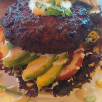  at De Zeemeeuw in Noordwijk