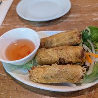Vegan spring rolls at Viet Ngon in North London