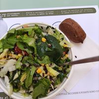 Vegan salad with a small bread at Salad House in Milan