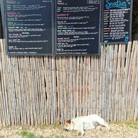  at Vegamare in Alghero