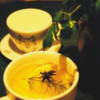 drinks at for.rest in Warsaw