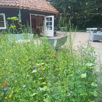  at Camping Noorderloo in Groningen