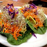   at Happy Healthy Human in Indian Harbour Beach