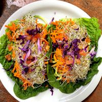   at Happy Healthy Human in Indian Harbour Beach