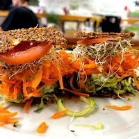   at Happy Healthy Human in Indian Harbour Beach