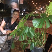 Couldn’t leave their plant room without purchasing this beauty!  at Jonny NoBones at the Old Riverhouse Vegan Village in Fort Lauderdale