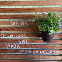 Beautiful interior   at BaoVegan in Cancun