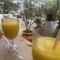   at BaoVegan in Cancun