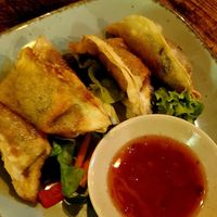 Gyosas at Comcha Vegan in Berlin