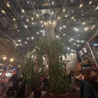   at Mazel Tov in Budapest