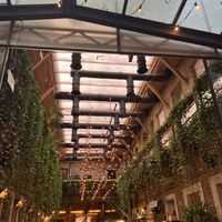   at Mazel Tov in Budapest